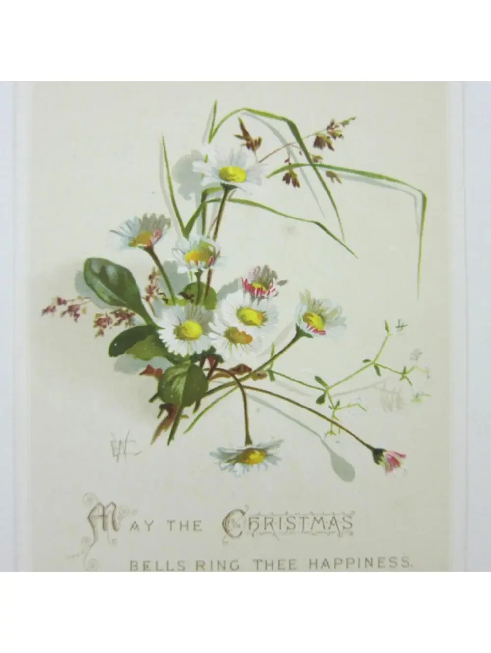 Victorian Christmas Card Hildesheimer & Faulkner White Daisy Flowers Antique